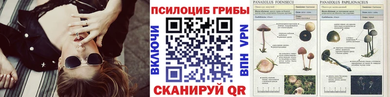 где можно купить ОМГ ОМГ ТОР Псилоцибиновые грибы Psilocybe Удомля