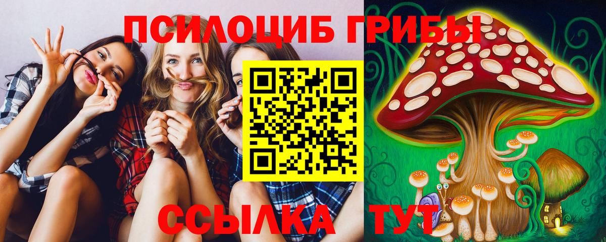 Удомля  Галлюциногенные грибы Psilocybine cubensis  Вход с VPN  Псилоцибиновые грибы Magic Shrooms 
