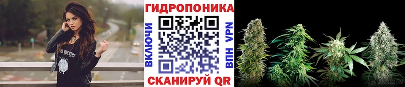 omg ССЫЛКА  Удомля  МАРИХУАНА OG Kush 